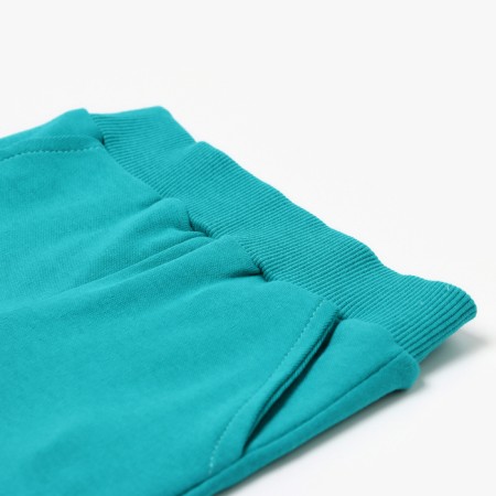 Kit (sweatshirt, trousers) children's minku emerald color, height 68-74 cm-1