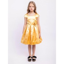 Dress for girl 