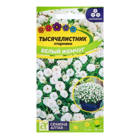 Seed yarrow "White Pearl", 0.1 gr.