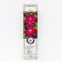 Clematis large -flowered "Sanset", 1 pc, tube, spring 2025