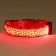 Collar with backlight leopard 3 glow modes Size S, Osh 22-40 x 2.5 cm red red