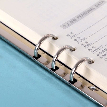 Organizer on the rings A5, 90 sheets in the ruler, with a stream, mix-4