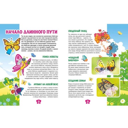 Butterflies. Children's Encyclopedia-3