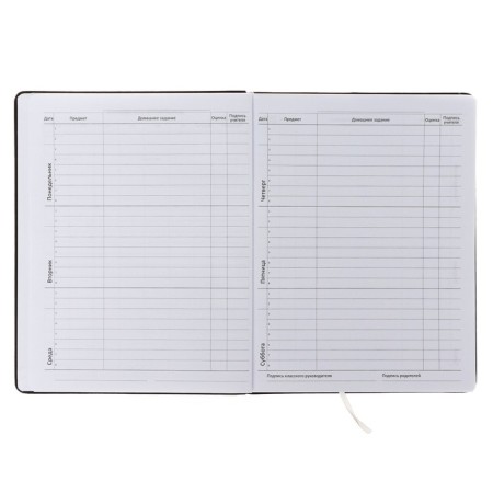 Universal diary for grade 1-11 Break Rules, hard cover, artificial leather, foam rubber, liesse, 80 g/m2-6