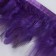 Braid with feathers of a rooster, 10-15 cm, 5 ± 0.5 m, purple color
