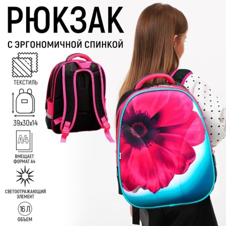 Background School School Calligrata Inspire, 39 x 30 x 14 cm