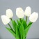 Spinker "White Tulips" LED 1.2W 4000k white 9x9x25cm Risalux