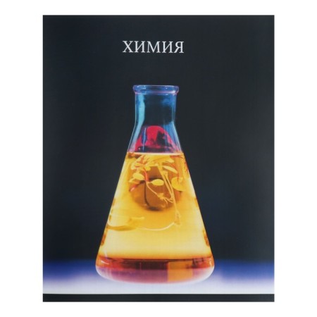 Subject note Calligrata Top "School Style", 48 sheets in a chemistry cage, reference material, plastic cover, offset unit