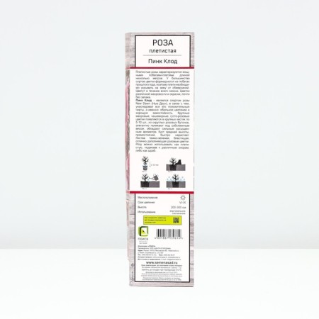Seedling rose Plesy "Pink Claude", tube, 1 pc, spring 2025-1