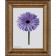 Frame for paintings (mirrors) 40 x 50 x 3.3 cm, plastic, dorothy, gold