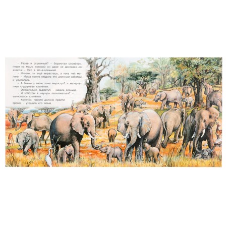 We know the world around us "The Adventures of the Elephant"-1