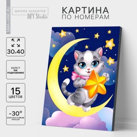 Picture on numbers on a canvas with a subframe "Kit with a star", 30 x 40 cm
