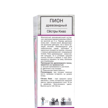 PION Tree Two -color "CIAO sisters", tube, 1 pc, spring 2025-1