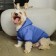 Single-fat sweatshirt for dogs (foot with a hose), size S (DS 24, Osh 33-37, OG 42-44), blue