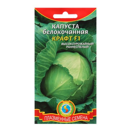 Cabbage Cabbage seeds "Kraft"
