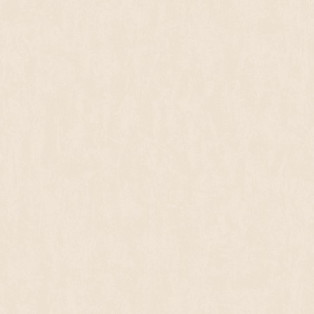 Paper wallpapers "Gomel wallpaper Texas von 61, 0.53x10.05m-3