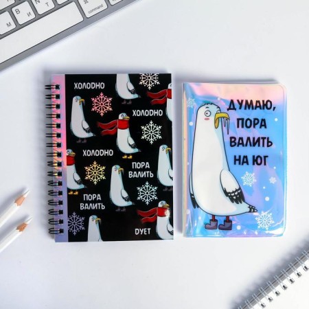 Gift set: a holographic notebook and cover "I think it's time to bring down to the south"-1