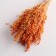 Set of dried flowers "millet", banch length 45 (+/- 6 cm), orange