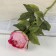 Artificial flowers "large peony" 9x70 cm, pink