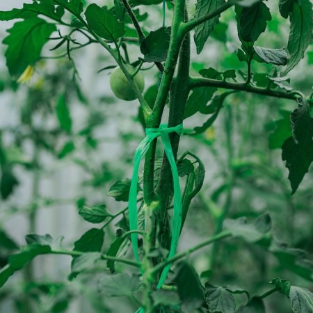 Shpagat for garter plants, 30 m, polypropylene, green, Greengo-4