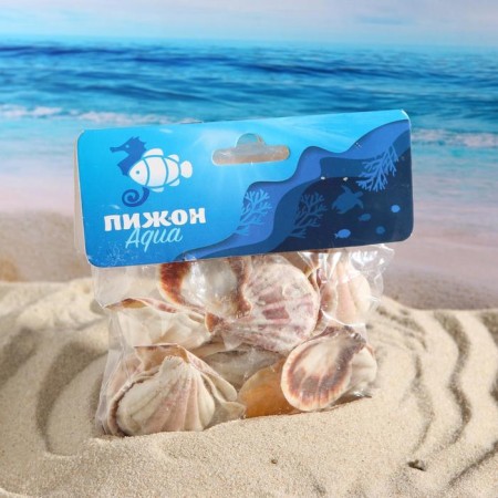 Set of shells, 4 - 5 cm, 100 g-3