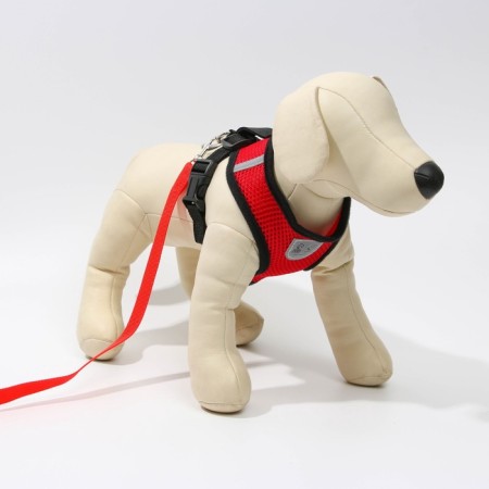 Drinking harness with a leash and reflective patch, m, ok 33, og 32-43, red-5
