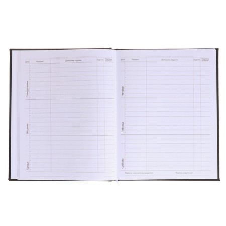 Universal diary for grade 1-11 Break The Limits, hard cover, artificial leather, foam rubber, lies, 80 g/m2-6
