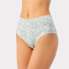 Трусы женские слипы, цвет фисташковый/гвоздики, размер50/XL
