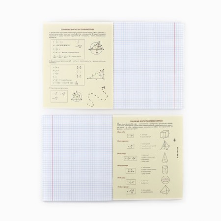 Subject notebook A5, 48 liters on the paper clip “Bright. Geometry »Twin varnish, UV LAK, Congrev-2