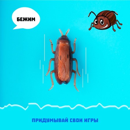 Taracan bug, works from batteries-6