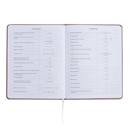 Universal diary for grade 1-11 No Comment, solid cover, artificial leather, foam rubber, silk-screen printing, liesse, 80 g/m2-8