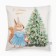 Case on the pillow Ethel "Squirrel", 40*40 cm, 100 p/e, velor
