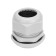Cable input PG-36 (22-32mm) gray, kit (1 pc/UP) rexant