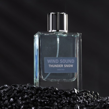 Toilet water male "Sound of the Wind", "Snow Thunderstorm", 100 ml-1