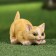 Garden figure "Kitten on the hunt" 8x15x11cm /// Mix
