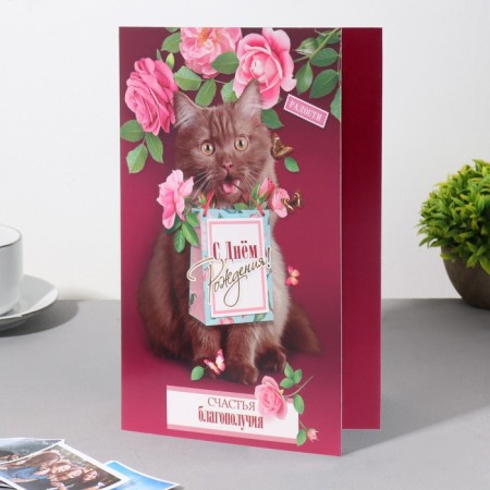 Birthday card!" cat, roses, raspberry background, a5-2