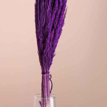 Set of dried flowers "Weinik", banch length 65 (+/- 6 cm), purple-1