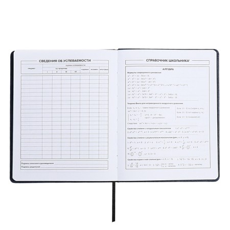 School diary for grades 1-11, dragon's eye, hard cover, artificial leather, application, pancake embossing, foil embossing, universal cheat sheet, 48 sheets, block 80g/m2-9