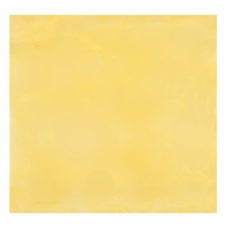 Salfet of suede and AIRLINE microfiber in a tube, 45 x 46 cm-2