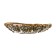 Mare soap dish