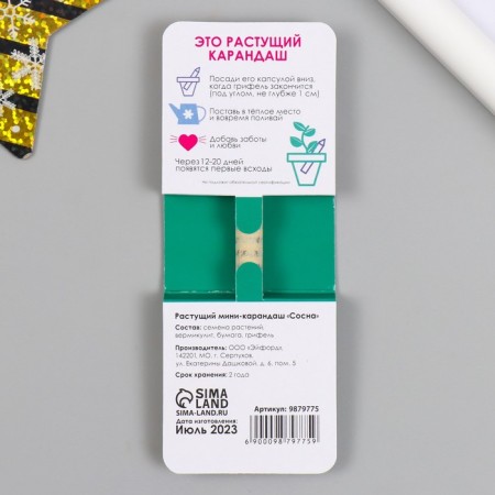 Growing gift pencils Mini "Pine"-1