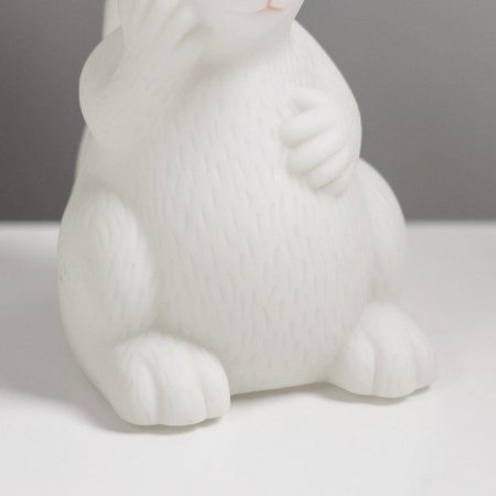 Squirrel nightlight LED from 3XLR44 batteries 9x6x10 cm Risalux-7