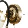 Sconces 662447/1 E27 40W gold 22x15x24 cm