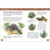 Encyclopedia for kindergarten "Dinosaurs"