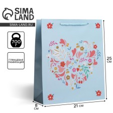 Gift laminated package, packaging, Pressent for You, Ml 21 x 25 x 8 cm