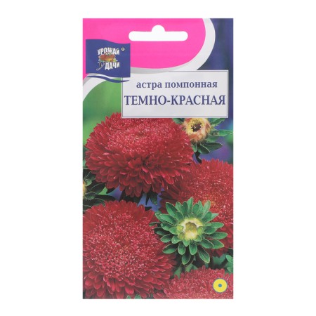 Flowers of Astra "Pomopone", dark red, 0.3 g