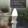LED Candle Lamp (CN) 7.5W E14 713LM 4000K neutral light Rexant