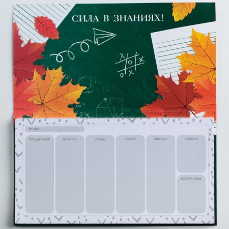 Gift set “The Cool Teacher”: A5 Diary of 80 sheets and planing with detachment sheets of 50 sheets-7