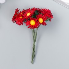 Flowers for decorating 