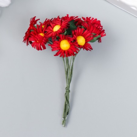 Flowers for decorating "Nights" Bordeaux 1 bouquet = 10 colors 7 cm